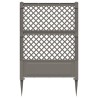 Trellis avec pique Gris 99 x 6 x 165 cm PP 649416649416