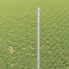 Clôture hexagonale avec poteau 10 x 1 m Acier galvanisé Argenté 649434649434