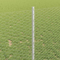 Clôture hexagonale avec poteau 10 x 1 m Acier galvanisé Argenté 649437649437