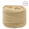 Corde de bateau 250 m 0.6 Naturel PP 649538649538