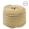Corde de bateau 500 m 0.8 Naturel PP 649574649574