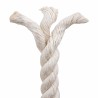 Corde en Jute 14 Blanc Jute 100% Tossa 649674649674