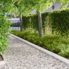 Bordure de Pelouse 50 pcs 100 x 15 cm Acier Blanc 649703649703
