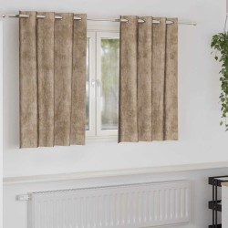 Rideaux en velours 2 pcs Champagne 140 x 140 cm Velours 649738649738