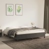  Cadre de lit sans matelas gris foncé 180x200 cm velours alsavelo 