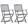  Chaises pliables d'extérieur lot de 2 et coussins Bois d'acacia alsavelo 