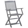  Chaises pliables d'extérieur lot de 2 et coussins Bois d'acacia alsavelo 