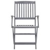  Chaises pliables d'extérieur lot de 2 et coussins Bois d'acacia alsavelo 
