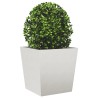  Jardinières 2 pcs 50x50x50 cm acier inoxydable alsavelo 