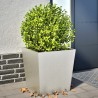  Jardinières 2 pcs 50x50x50 cm acier inoxydable alsavelo 