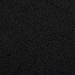  Paillasson Noir 80x120 cm alsavelo 