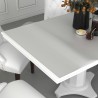  Protecteur de table mat 80x80 cm 2 mm PVC alsavelo 