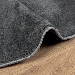 Tapis OVIEDO à poils courts anthracite Ø 200 cm 
