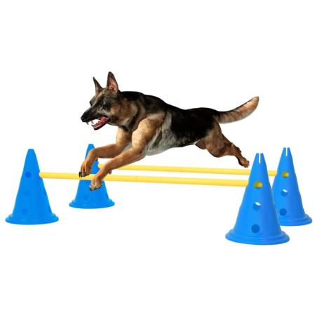 Ensemble d'obstacles d'activité pour chien Bleu et jaune 