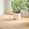 Appuis de fenêtre 2 pcs non traité 70x30x2 cm bois chêne massif 