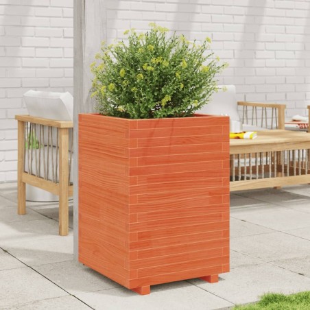 Jardinière cire marron 50x50x72,5 cm bois de pin massif 