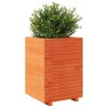 Jardinière cire marron 50x50x72,5 cm bois de pin massif 