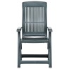 Chaises inclinables de jardin lot de 2 Plastique Vert 