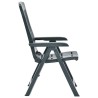 Chaises inclinables de jardin lot de 2 Plastique Vert 