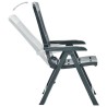 Chaises inclinables de jardin lot de 2 Plastique Vert 