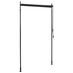 Store roulant d'extérieur 120 x 270 cm Anthracite  