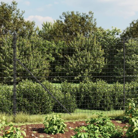 Clôture en treillis métallique anthracite 2x10 m 
