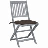 Chaises pliables d'extérieur lot de 4 et coussins Bois d'acacia 