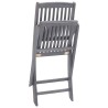 Chaises pliables d'extérieur lot de 4 et coussins Bois d'acacia 
