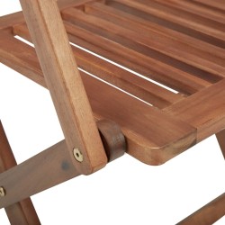 Chaises pliables d'extérieur lot de 2 Bois d'acacia solide 