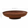 Foyer 80 cm Acier 
