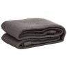 Tapis de tente 250 x 400 cm Anthracite 