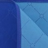 Couverture de pique-nique Bleu et bleu clair 150 x 200 cm 
