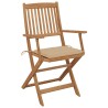 Chaises pliables de jardin lot de 4 avec coussins Bois d'acacia 