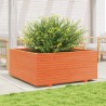 Jardinière cire marron 110x110x49,5 cm bois de pin massif 