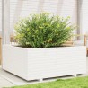 Jardinière blanc 110x110x49,5 cm bois de pin massif 