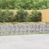 Lit surélevé à gabions arqué 600x50x100 cm Fer galvanisé 