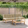 Canapés centraux palette de jardin 2pcs et coussins bois acacia 