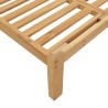 Canapés centraux palette de jardin 2pcs et coussins bois acacia 