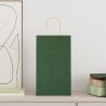 Sacs en papier 50 pcs avec poignées vert 21x11x36 cm 