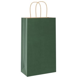 Sacs en papier 50 pcs avec poignées vert 21x11x36 cm 