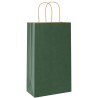 Sacs en papier 50 pcs avec poignées vert 21x11x36 cm 