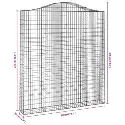Paniers à gabions arqués 2 pcs 200x30x220/240 cm fer galvanisé 