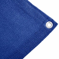Tapis de tente 200x200 cm Bleu PEHD 