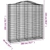 Paniers à gabions arqués 2 pcs 200x50x200/220 cm Fer galvanisé 