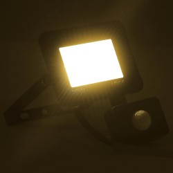 Projecteur à LED avec capteur 20 W Blanc chaud  
