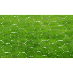 Grillage pour volière Acier galvanisé 25 x 1 m Argenté 