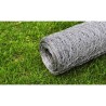 Grillage pour volière Acier galvanisé 25 x 1 m Argenté 