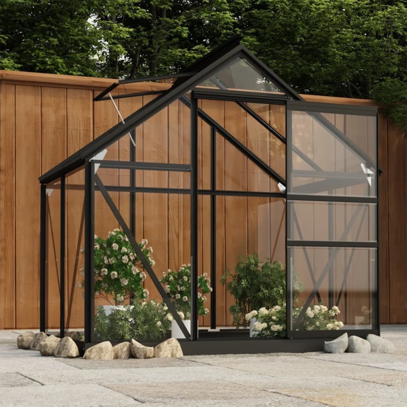 Serre en verre Anthracite 155x103x191 cm Aluminium 