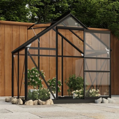 Serre en verre Anthracite 155x103x191 cm Aluminium 