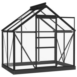 Serre en verre Anthracite 155x103x191 cm Aluminium 